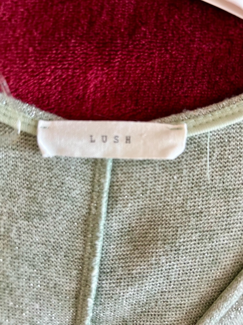 LUSH Women's Pale Mint V-Neck Sweater with Subtle Sparkle
